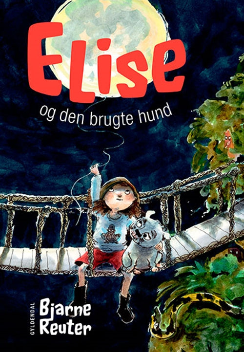 Forside billede